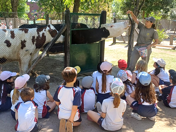 Visita a la granja